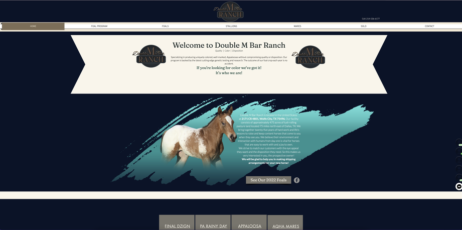 Double M Bar Website.png