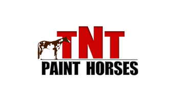 Travis Thompson Paint Horses Logo