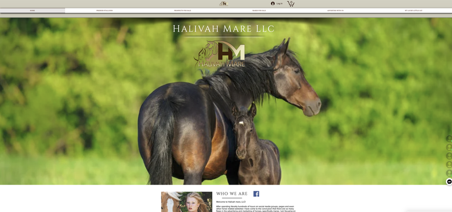 Halivah Mare website.png