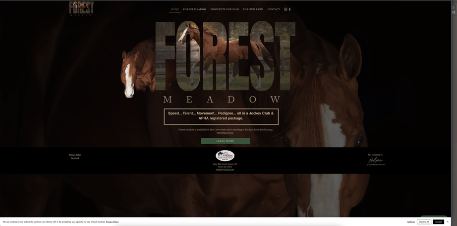 Forest Meadow Website Screenshot