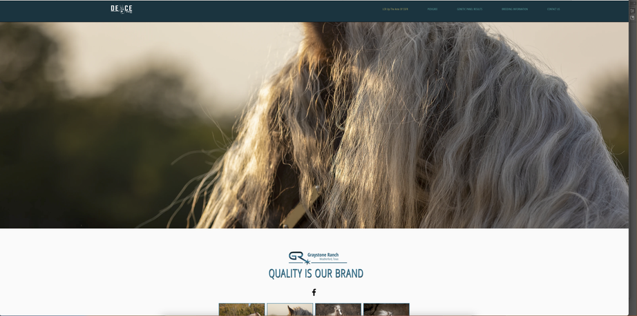 Deuce website screenshot