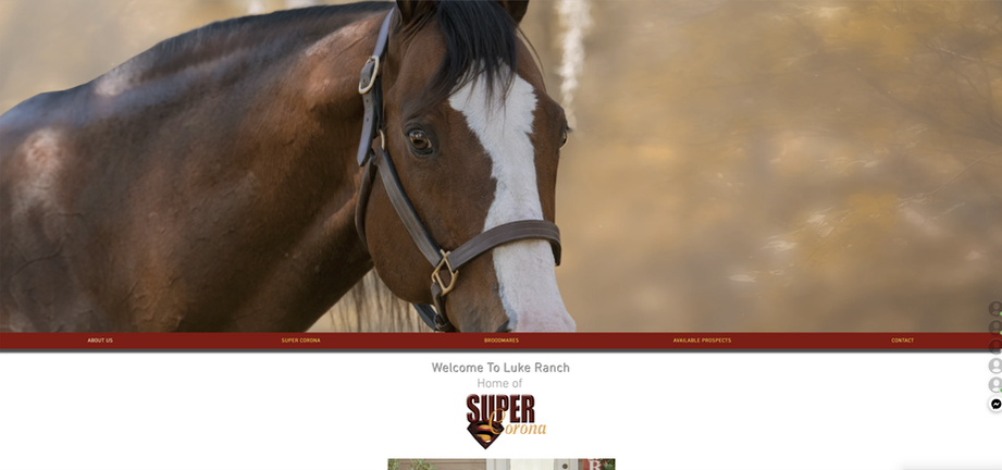 Super Corona Website.png