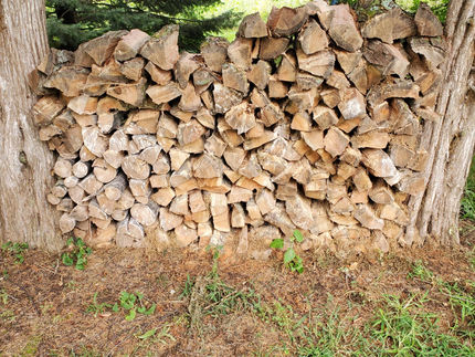 Black Locust Firewood Face Cord
