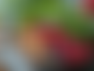 Nourish Your Mind: How Nutrition Impacts Mental Health and Cognitive Function