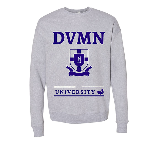 DVMN University Pigèon