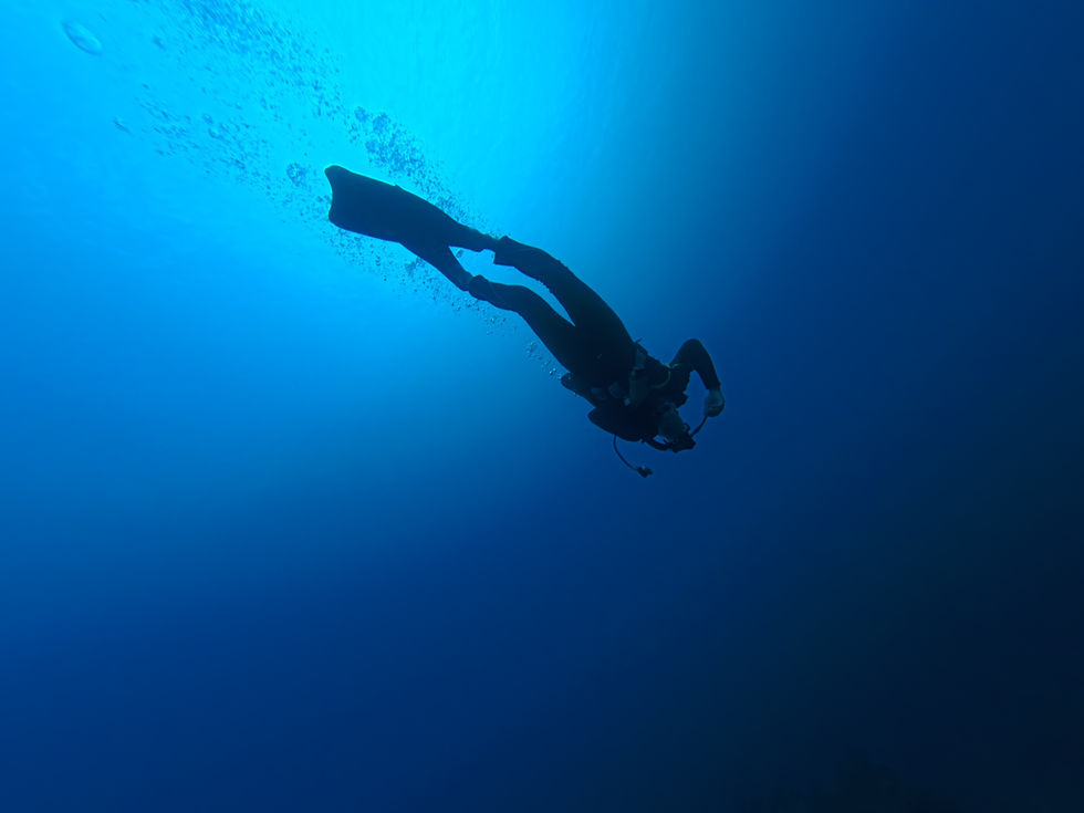 L’Excellence du Capteur Leica en Milieu Aquatique