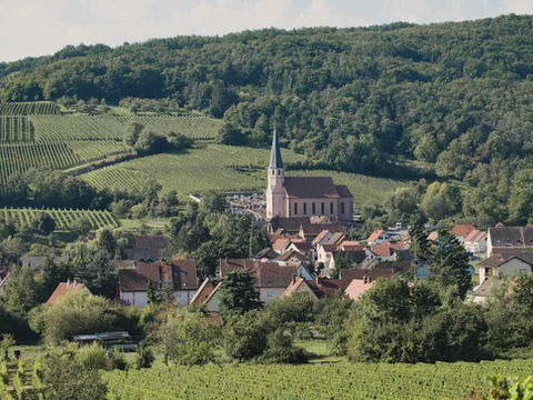 Sur la Route des Vins d'Alsace : Découverte des Trésors de Molsheim à Barr