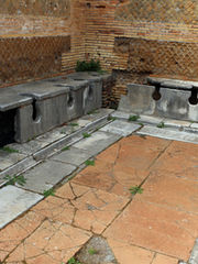 Latrinae