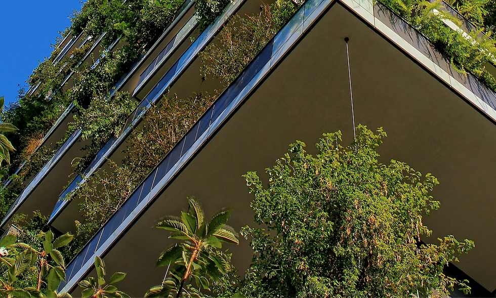 arquitetura sustentável