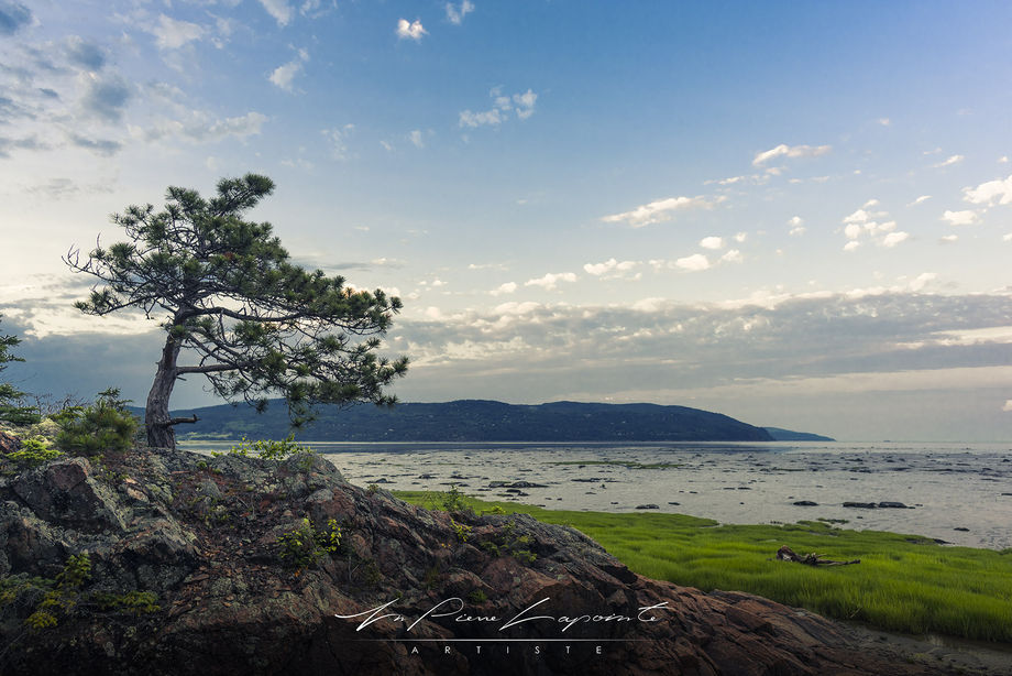 Sur le cran Lamant.jpg