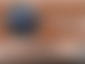 Top Cow Shelter in Delhi: Locations, Contact Details & How to Donate