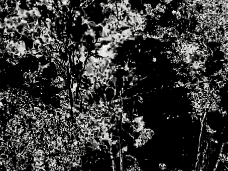 Desconectado do Mundo