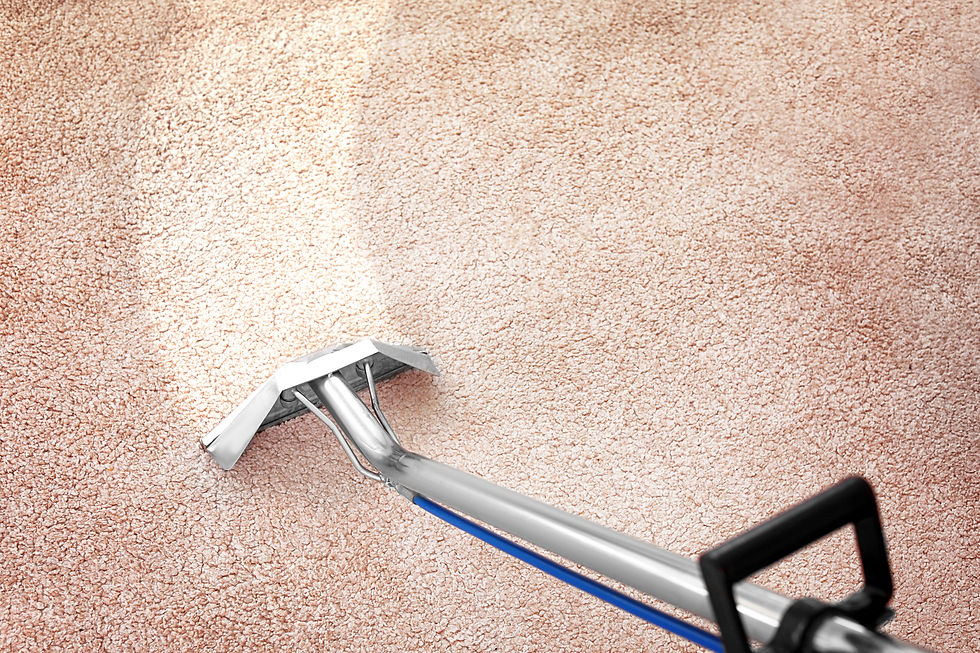 Removing dirt from carpet with professio