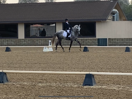 Show SEASON HAS STARTED