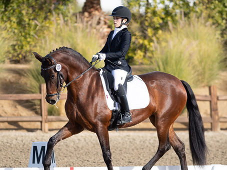 Desert Dressage