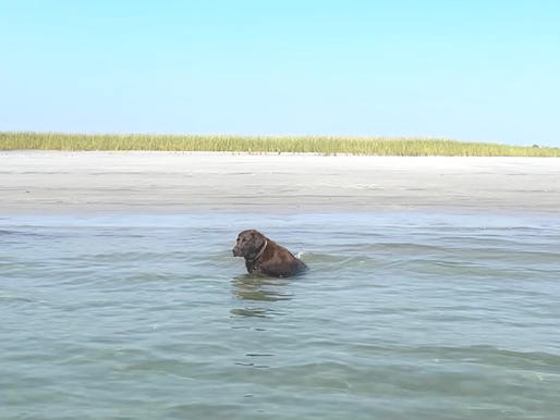Paddling to Wingaersheek Beach