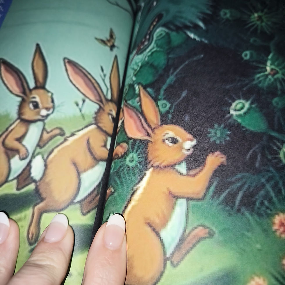 You will see it in the previewer so know that I know the book is not in preview for sample.