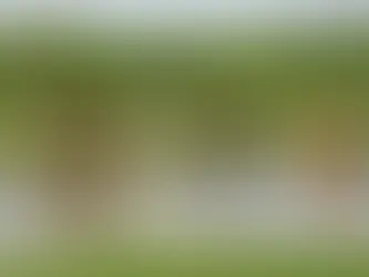 Water: The Essential Nutrient