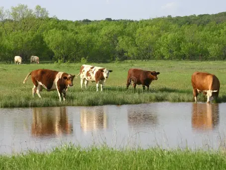 Water: The Essential Nutrient