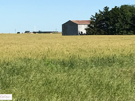 Introduction to Agronomy