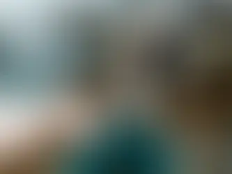 The Foundation of Life: An Introduction to Nutrients