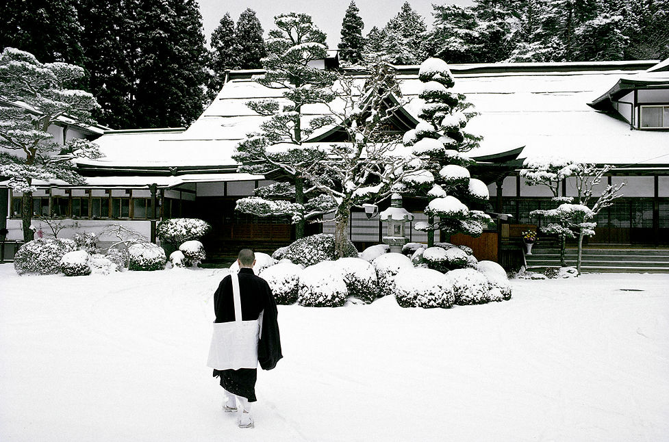 Monk & Snow.jpg