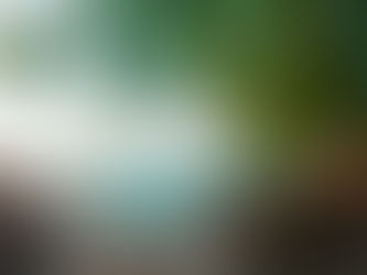 The Fixer joins Forbes Travel Advisor network – elevating luxury travel