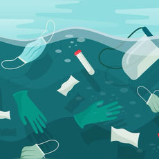 The Plague of Plastic:The Impact of Plastic Pollution