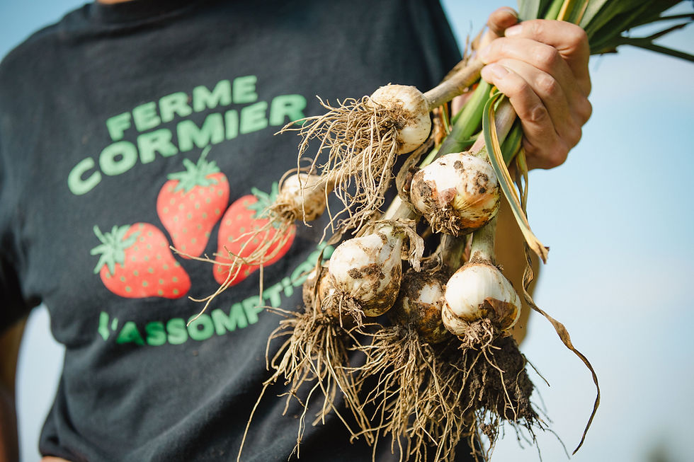 La Ferme Cormier : Raconter l'histoire d'une passion familiale au fil des saisons