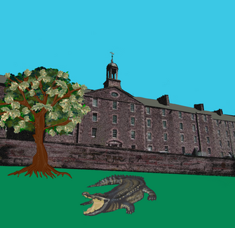 The Alligator and the Oak Tree