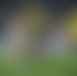 Edin Dzeko, Fenerbahçe'de İstenilen Mutlu Sona Ulaşamadı