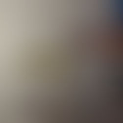 Evin Duvardan Binlerce Arı Çıktı!