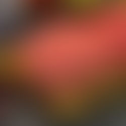 Fransa'da Salmonella Alarmı: Hindi Kıymalar Acil Toplatılıyor!