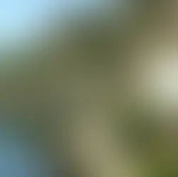 100 Günde Devri Alem: Uçaksız Dünya Turu Macerası!