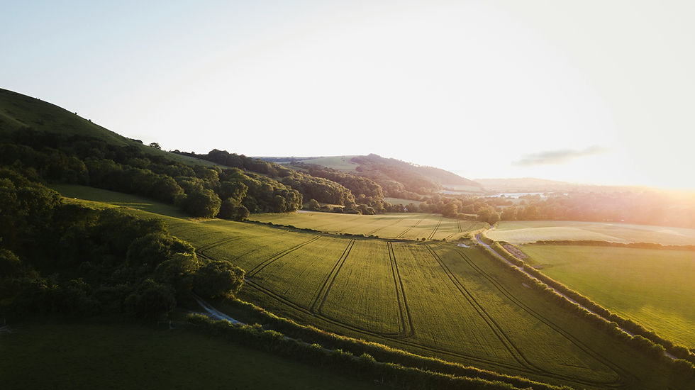 Aerial view of rolling green hills, fields, and trees at sunset