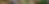 Riverland Boat Hire Page Div.png