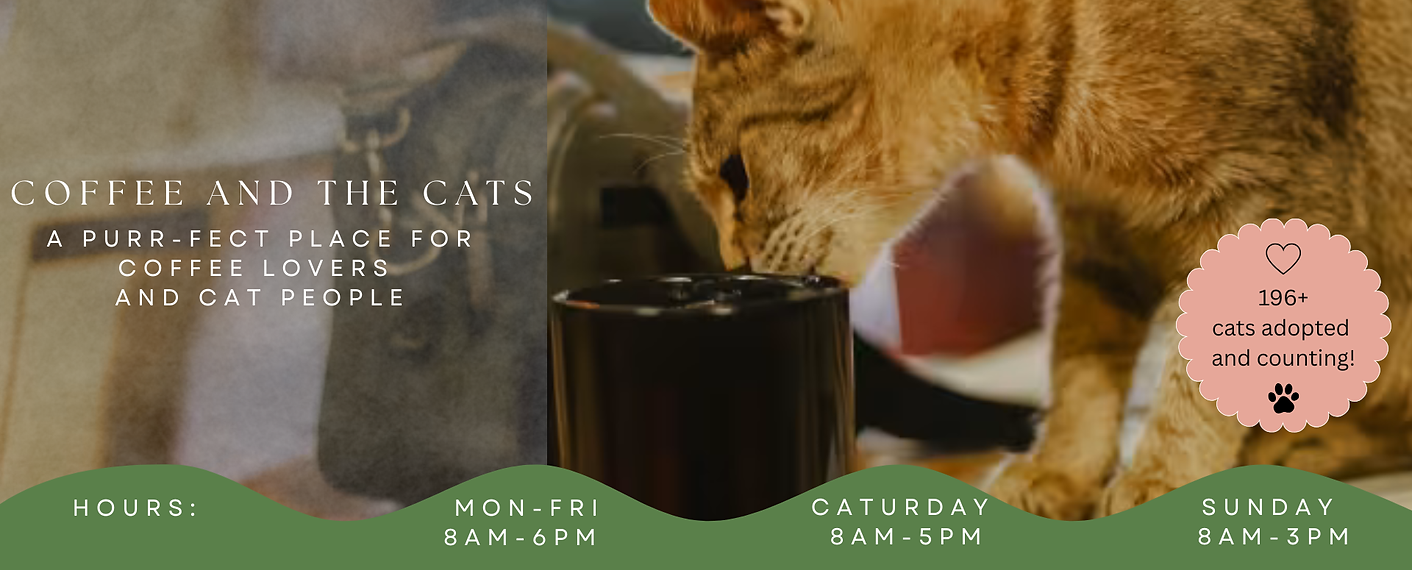 Coffee and the cats header (2).png