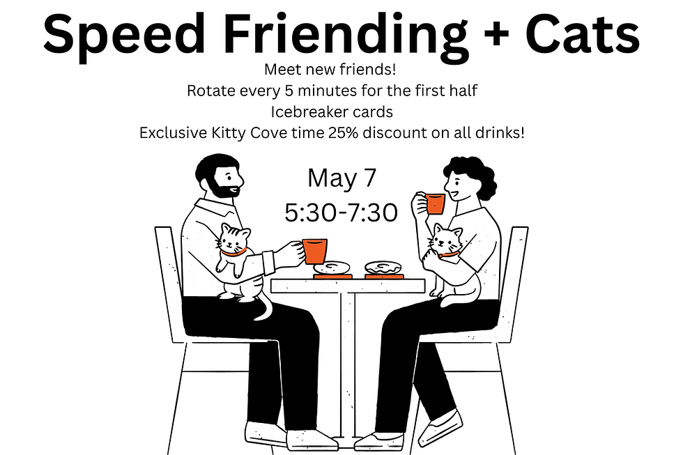 Speed Friending + Cats