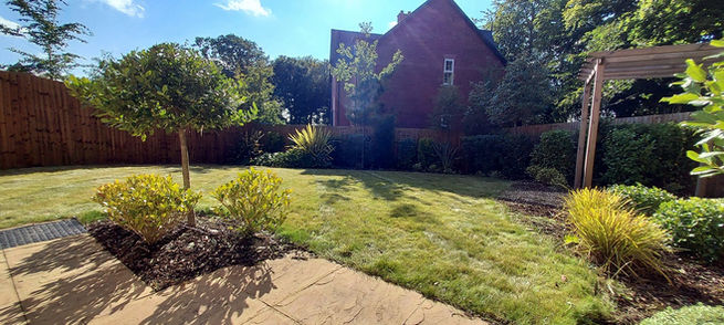 SessileClose (1).jpg