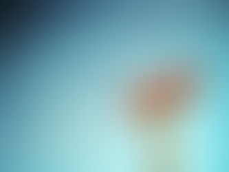 How much for your kidney?