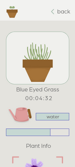 Blue Eyed Grass.png