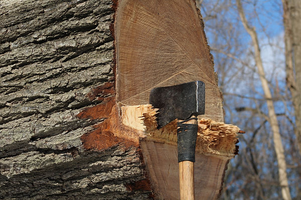 stump removal methods michigan