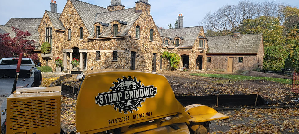 Removing a stump for high end client