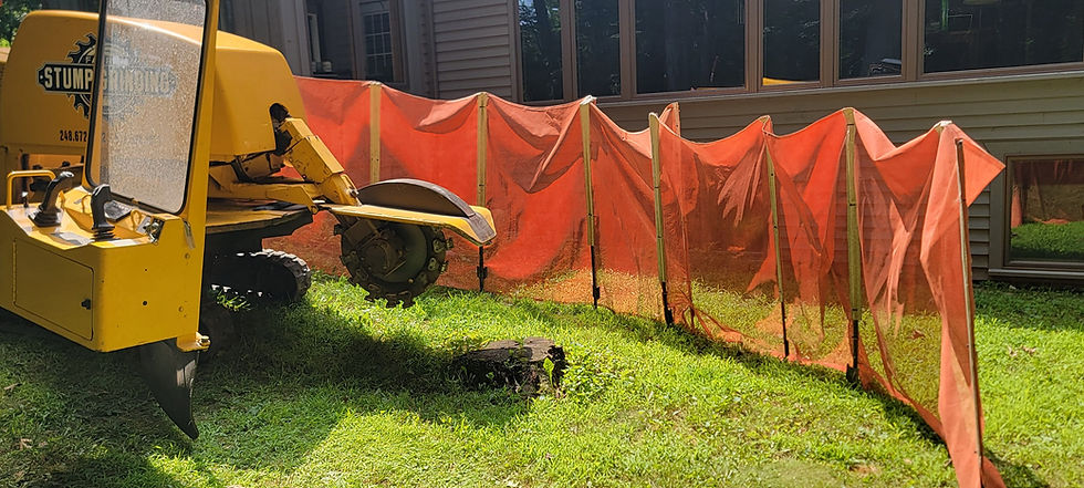 stump grinding near grand blanc house