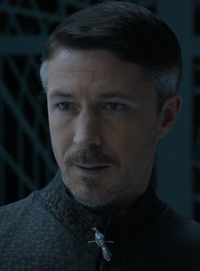 Petyr Baelish ("Littlefinger")