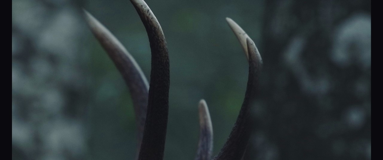 Réalisations Vincent BENEDETTI