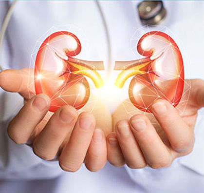 urologia.jpg