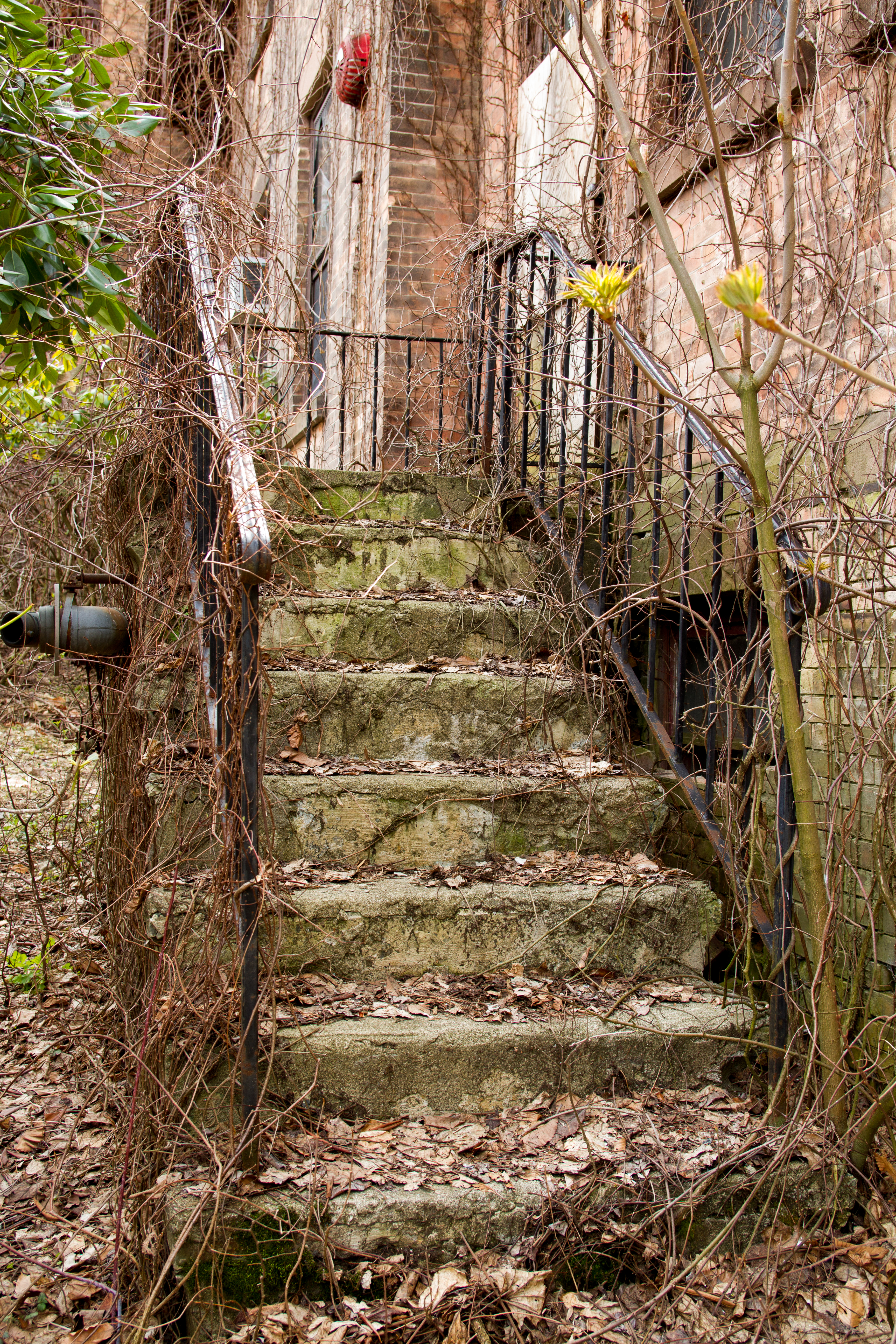 Craig House