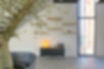 Espace de bureaux aménagé par Unihome Design pour Cybelim, olivier intérieur en bac zinc, étagères bois flottantes, buffet noir mat et lampe rotin sur sol béton ciré