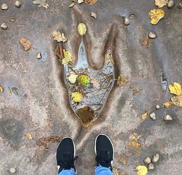 IMG-20181212-WA0019.jpg